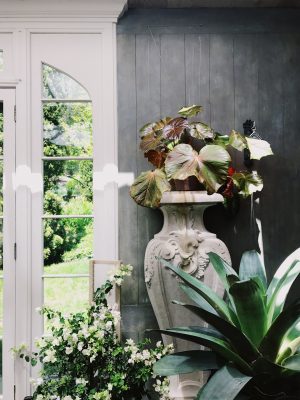 GardenShow / House of Brinson