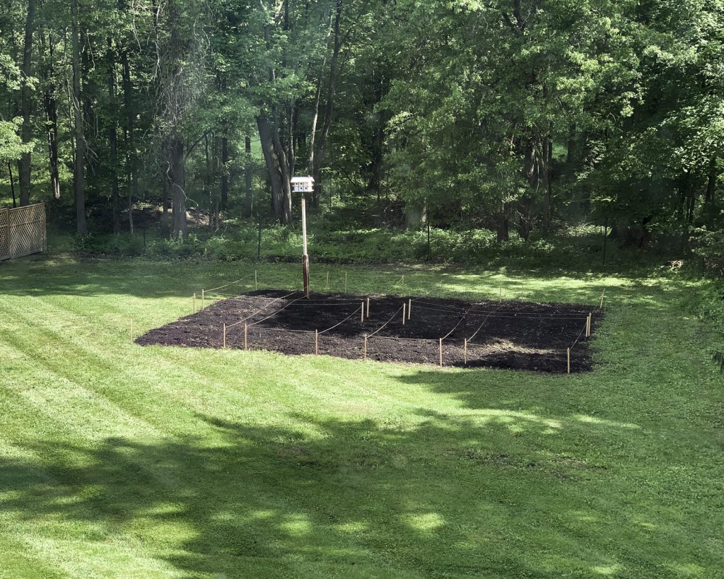 House_of_Brinson_Vegetable_Garden