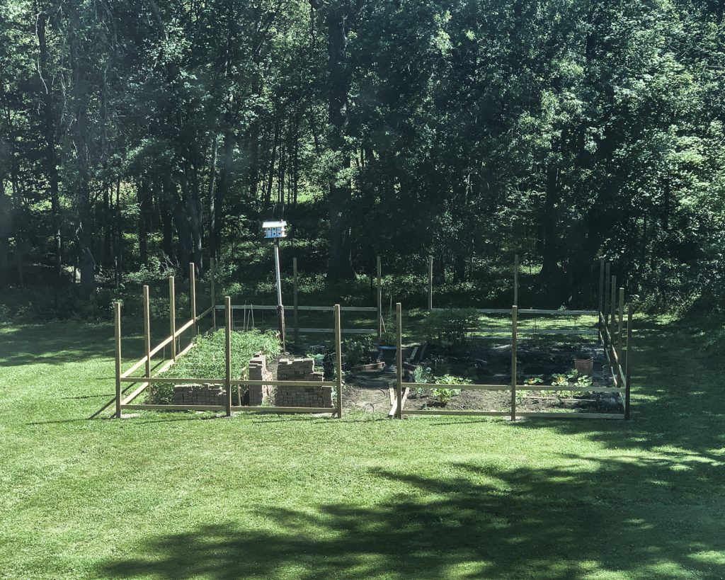 House_of_Brinson_Vegetable_Garden