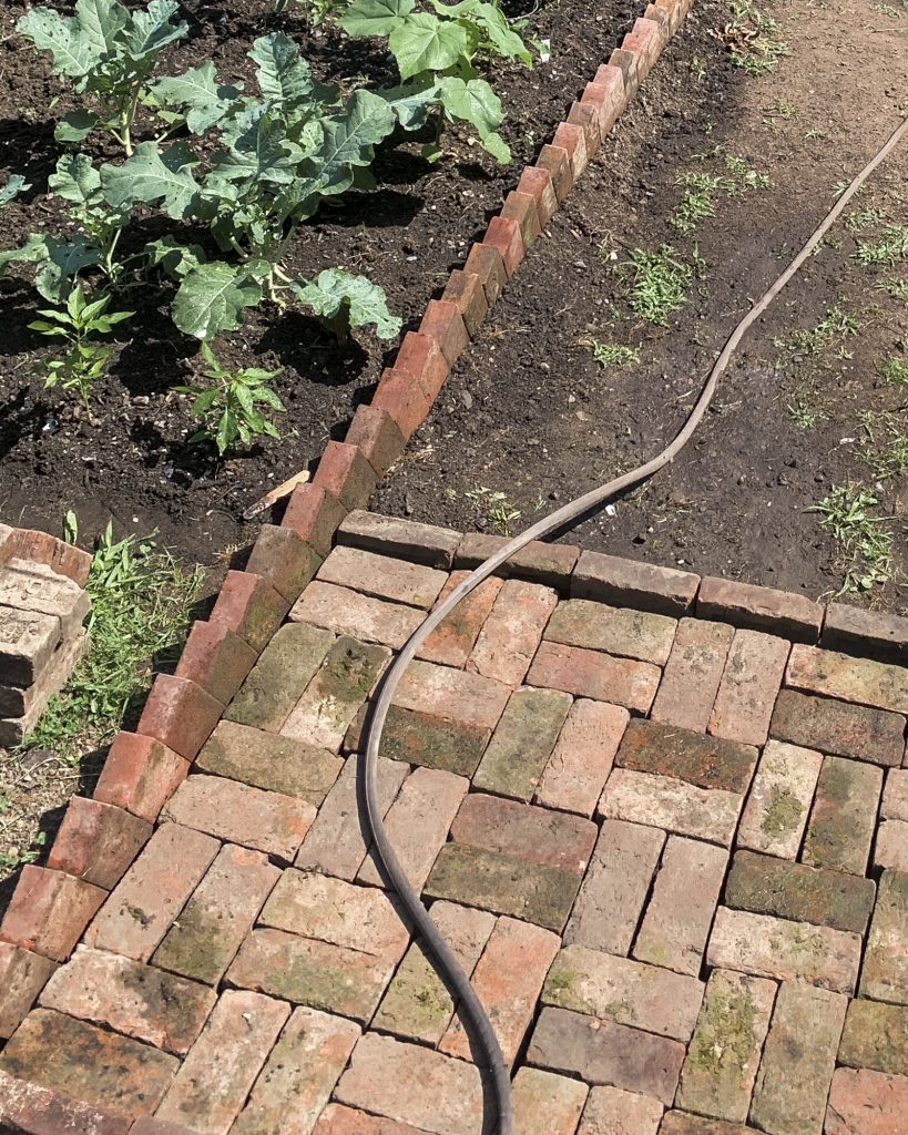 House_of_Brinson_Vegetable_Garden