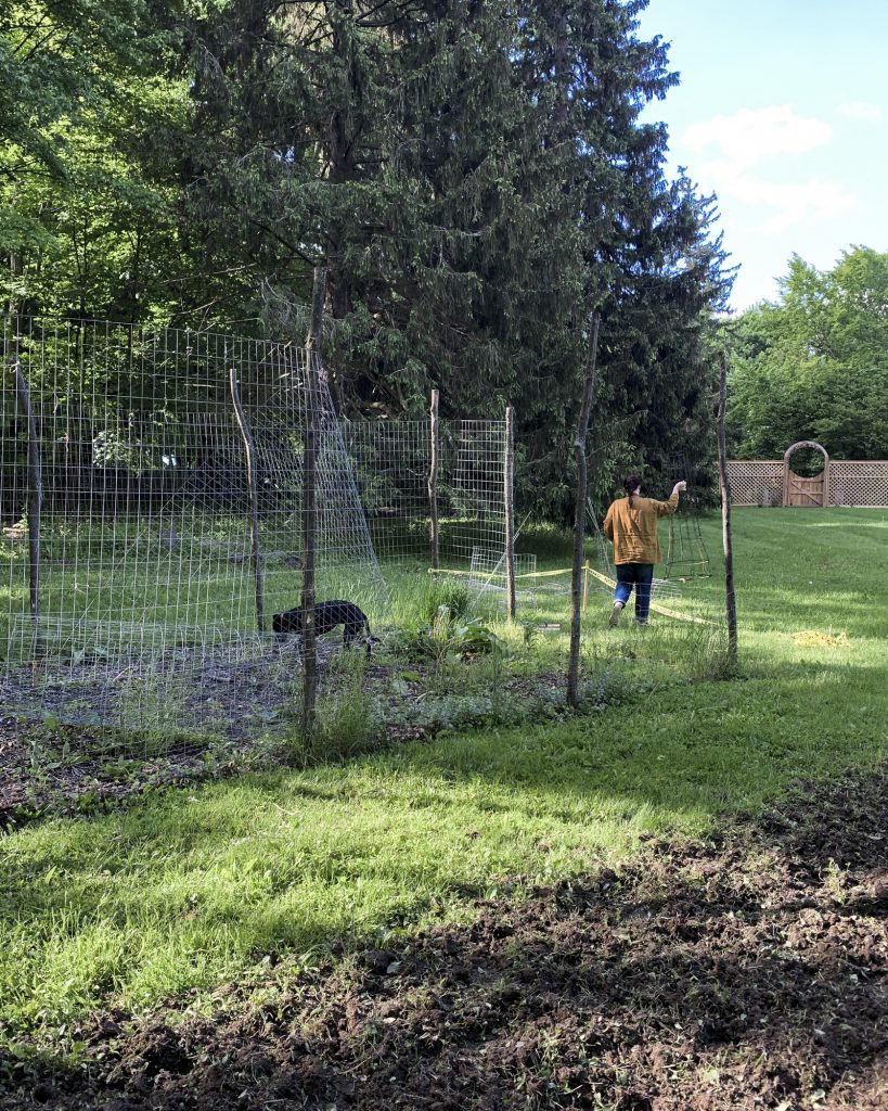 House_of_Brinson_Vegetable_Garden_
