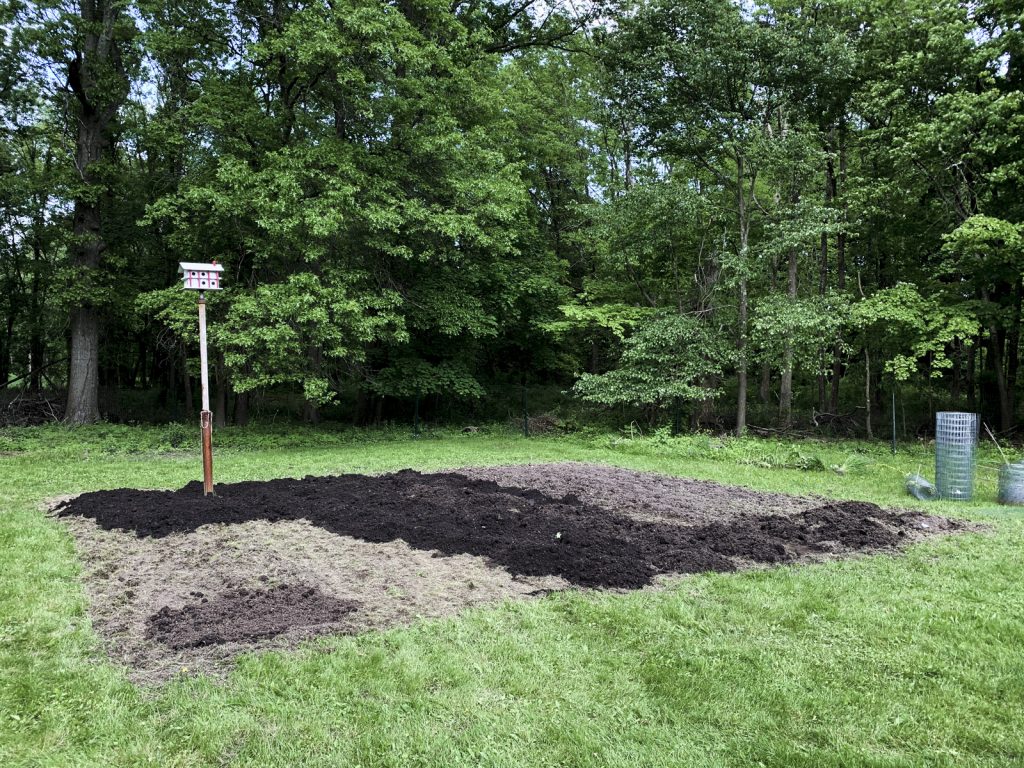 House_of_Brinson_Vegetable_Garden