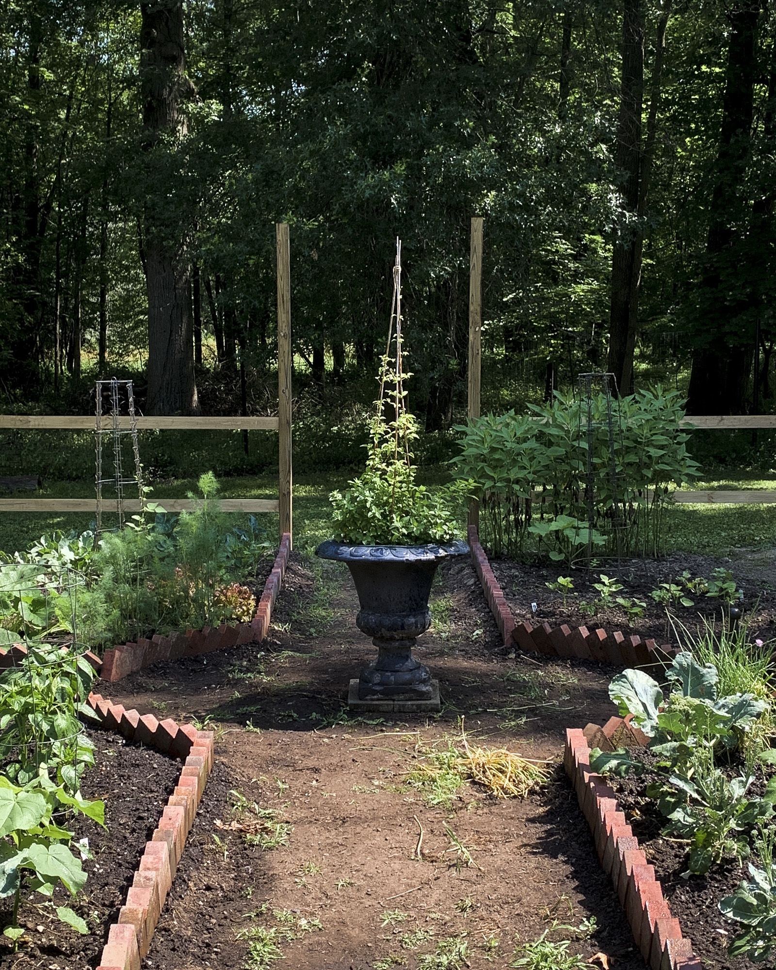 House_of_Brinson_Vegetable_Garden